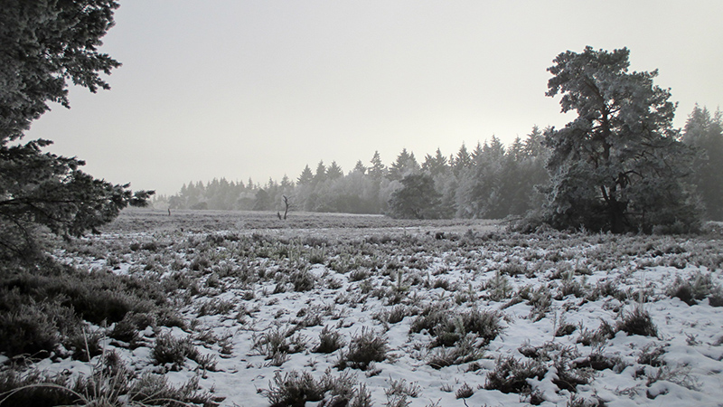 WINTER 11