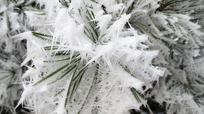 WINTER 14