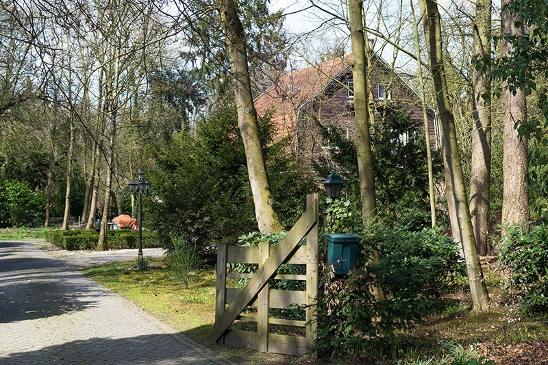 DSC 0339