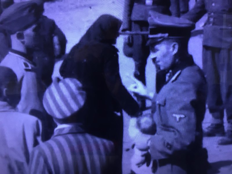 auschwitz 1