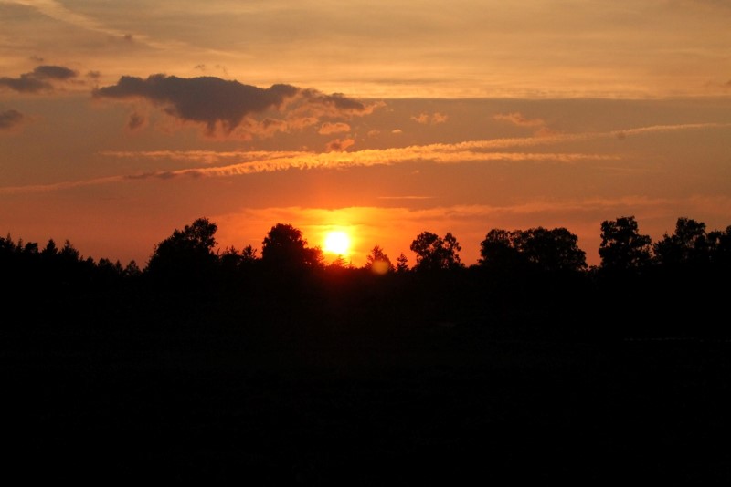 Stillezon (6)