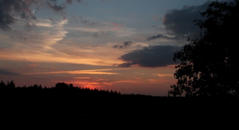 Stillezon (7)