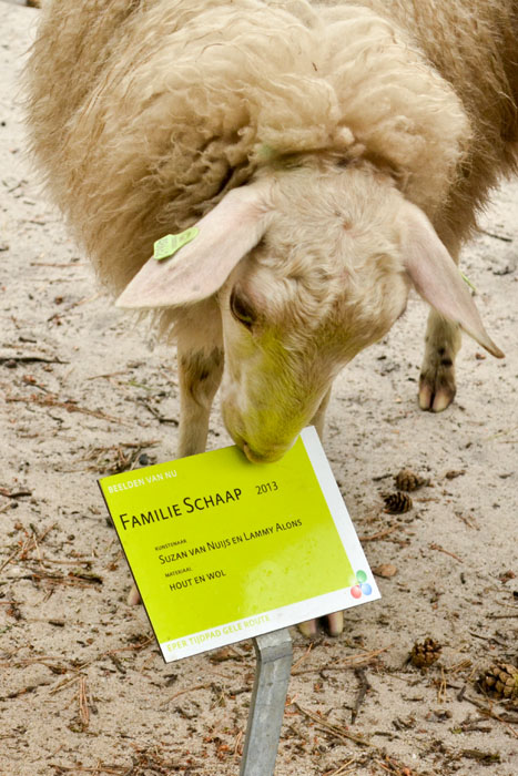 schaapskudde renderklippen (16)