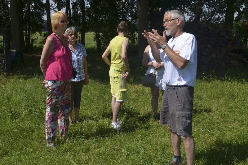 bijen (9)