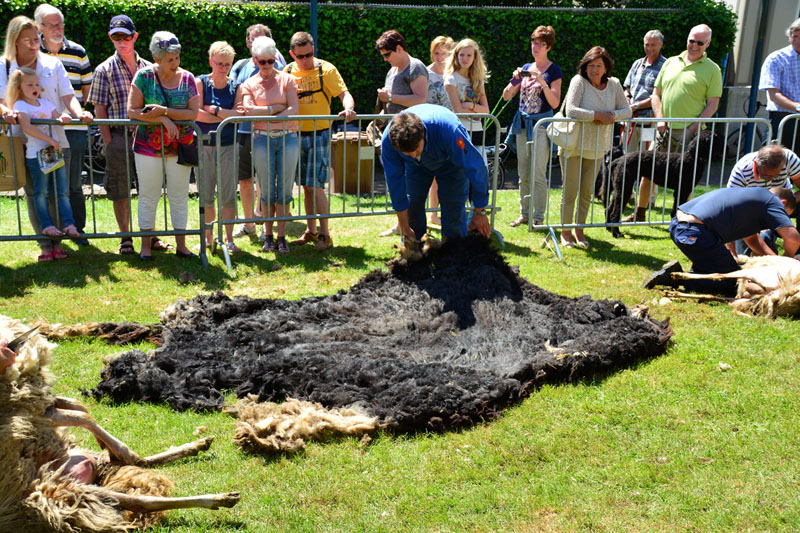 schaapscheerdersfeest (7)