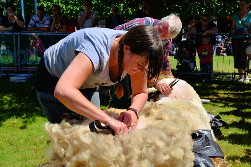 schaapscheerdersfeest (9)