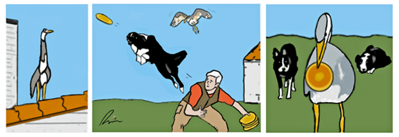 reiger cartoon Erwin van Versendaal