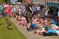 aardbeientuin 16 Custom