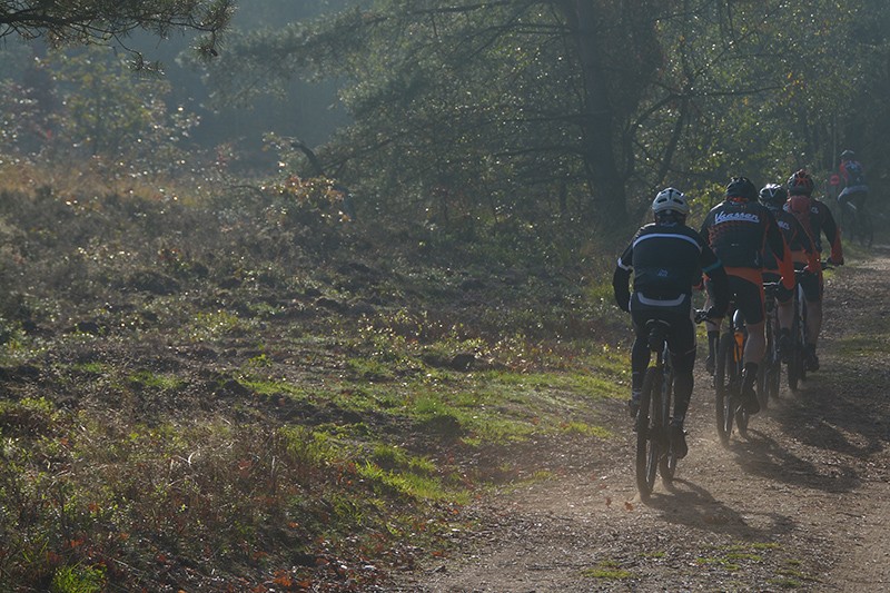 veldtocht 11