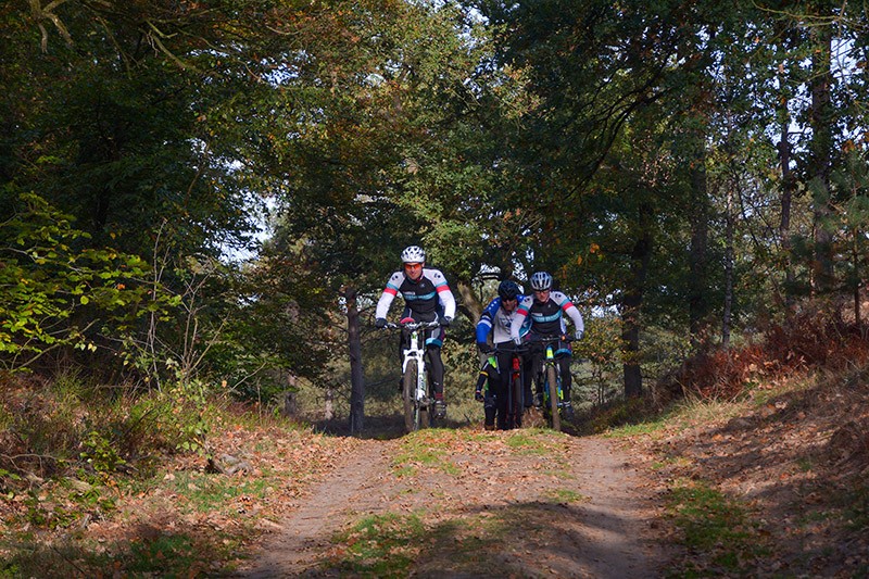 veldtocht 12