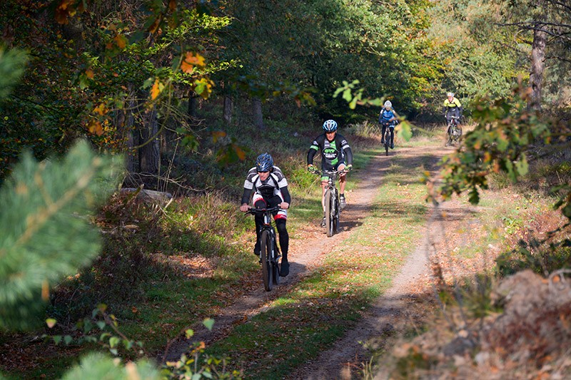 veldtocht 13