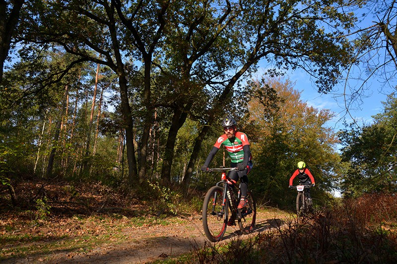 veldtocht 14