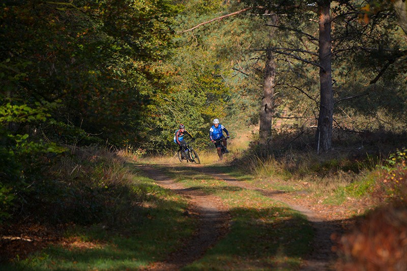 veldtocht 15