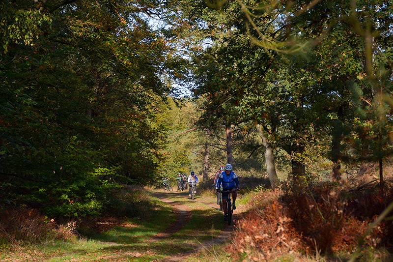 veldtocht 16