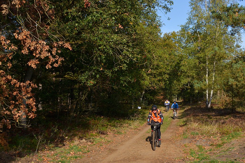 veldtocht 19