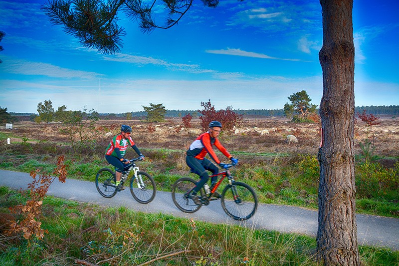 veldtocht 3