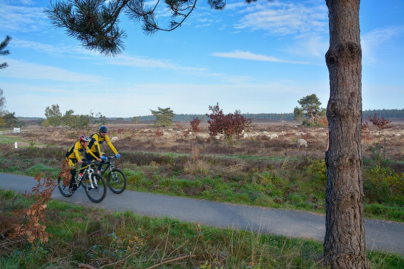 veldtocht 4