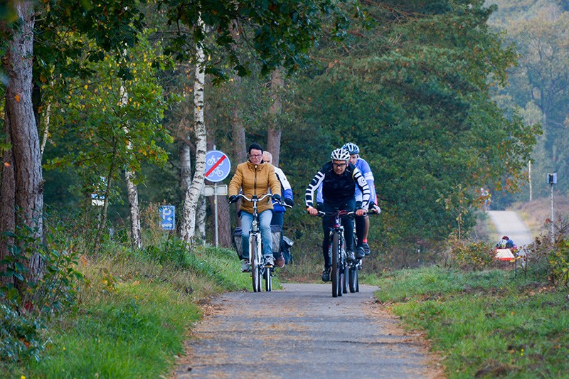 veldtocht 6