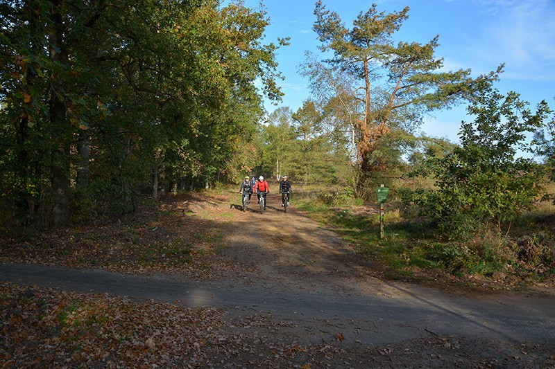 veldtocht 8