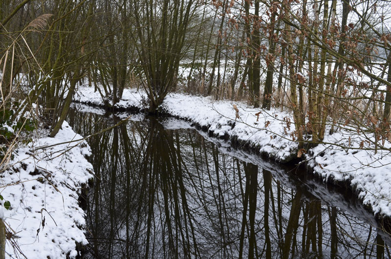 winter in Epe (9)