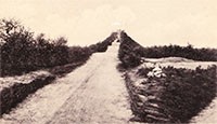 Haelbergklein