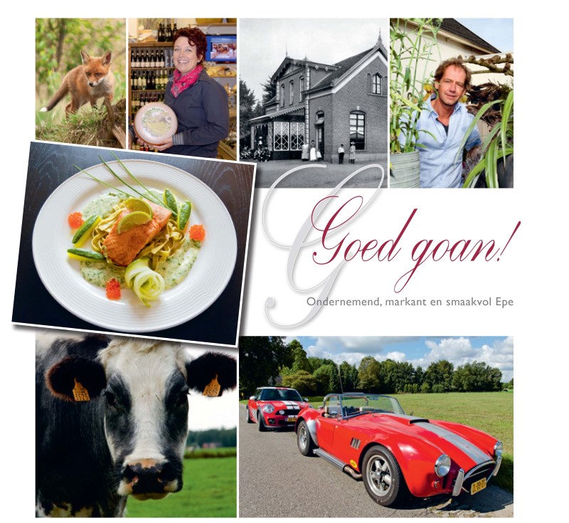 Omslag Goed Goan (Custom) (2)