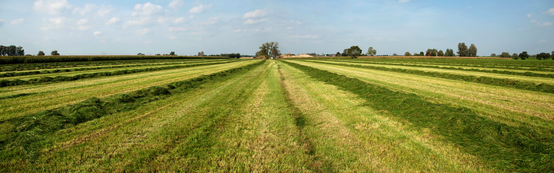 LangsdeIJsselPanorama
